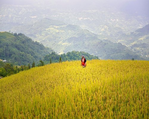 Mujer estirándose suavemente al levantarse de su escritorio tras horas de trabajo